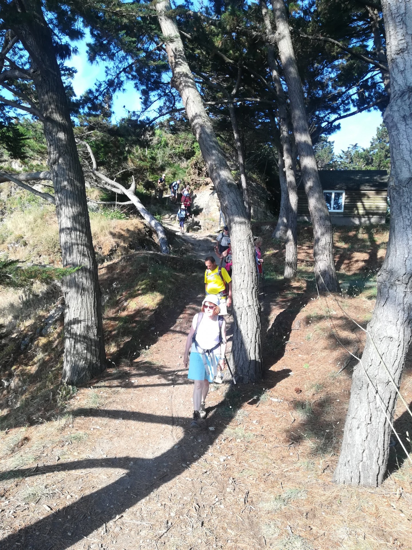 Img 20210616 092052 1
